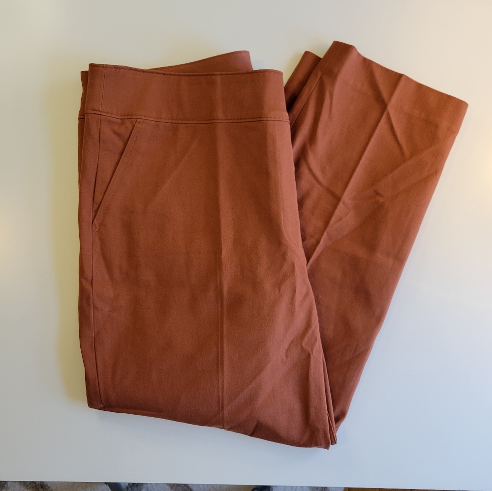 Spanx On-The-Go Ankle Slim Straight Pant in Bronze Glow Sz 1X Petite NWOT